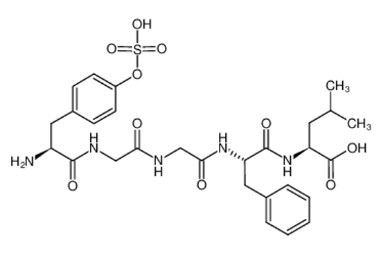 Picture of (2S)-2-[[(2S)-2-[[2-[[2-[[(2S)-2-amino-3-(4-sulfooxyphenyl)propanoyl]amino]acetyl]amino]acetyl]amino]-3-phenylpropanoyl]amino]-4-methylpentanoic acid