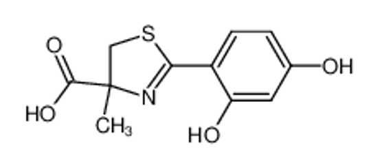 Imagem de (2Z,4S)-2-(2-hydroxy-4-oxocyclohexa-2,5-dien-1-ylidene)-4-methyl-1,3-thiazolidine-4-carboxylic acid