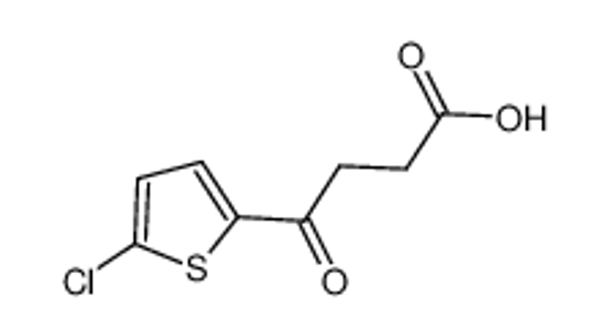 Picture of 4-(5-chlorothiophen-2-yl)-4-oxobutanoic acid