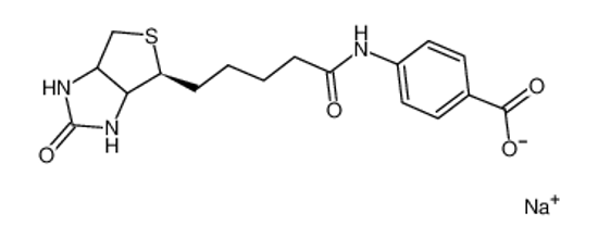 Изображение (+)-Biotin 4-Amidobenzoic Acid, Sodium Salt