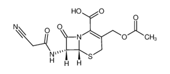 Picture of Cefacetrile