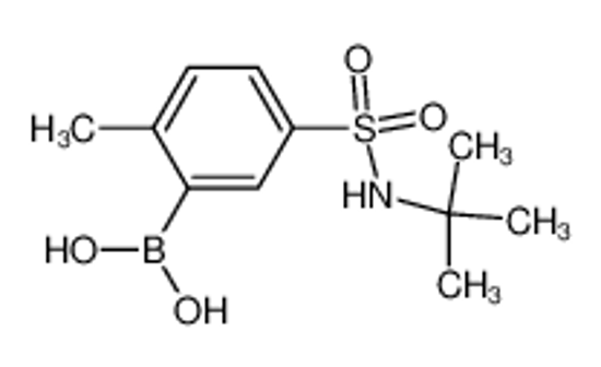 Picture of (5-(N-(tert-Butyl)sulfamoyl)-2-methylphenyl)boronic acid