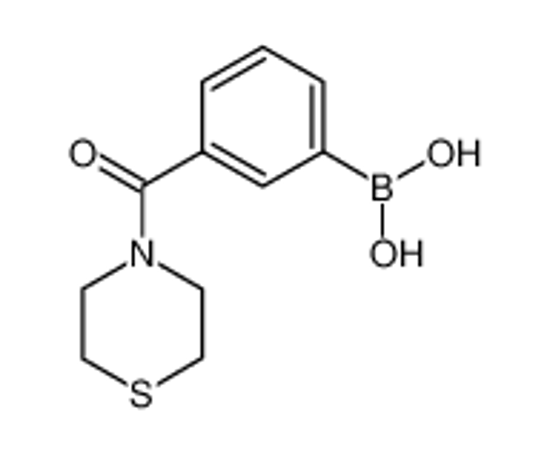 Picture of [3-(thiomorpholine-4-carbonyl)phenyl]boronic acid