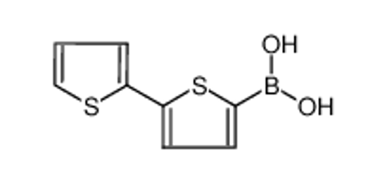 Picture of 2,2-Bithiophene-5-boronic acid