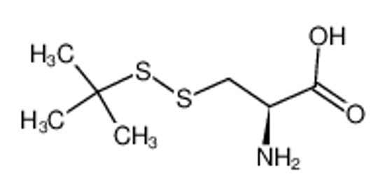 Picture of S-TERT-BUTYLMERCAPTO-L-CYSTEINE