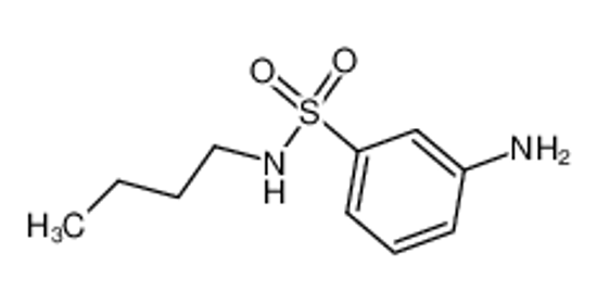 Picture of 3-AMINO-N-BUTYLBENZENESULFONAMIDE