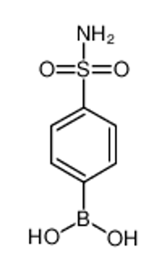 Picture of 4-(Aminosulfonyl)Phenylboronic Acid