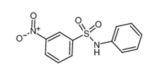 Picture of m-nitro-N-phenylbenzenesulphonamide