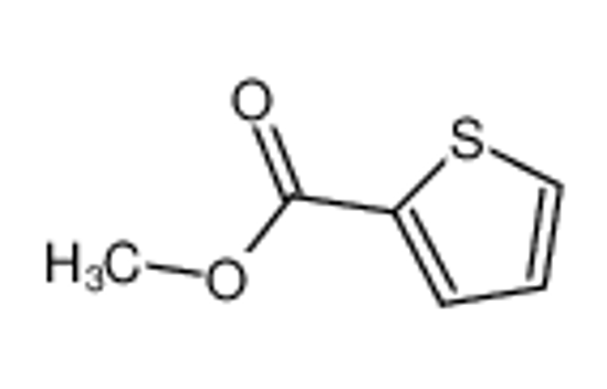 Изображение Methyl Thiophene-2-Carboxylate