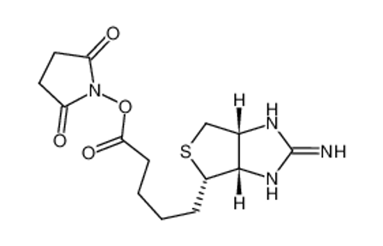 Picture of 2-IMINOBIOTIN N-HYDROXYSUCCINIMIDE ESTER