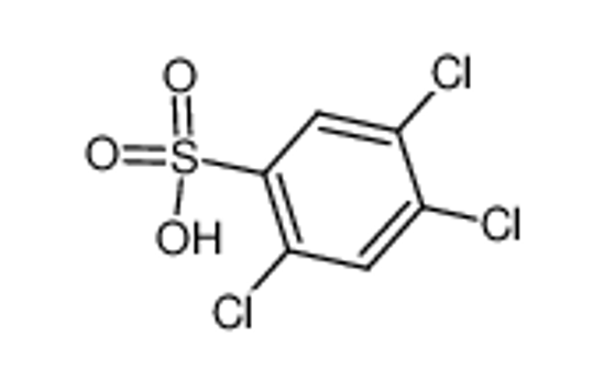 Picture of 2,4,5-Trichlorobenzenesulfonic Acid Hydrate