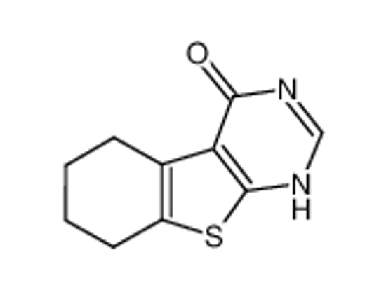 Imagem de 5,6,7,8-tetrahydro-3H-[1]benzothiolo[2,3-d]pyrimidin-4-one