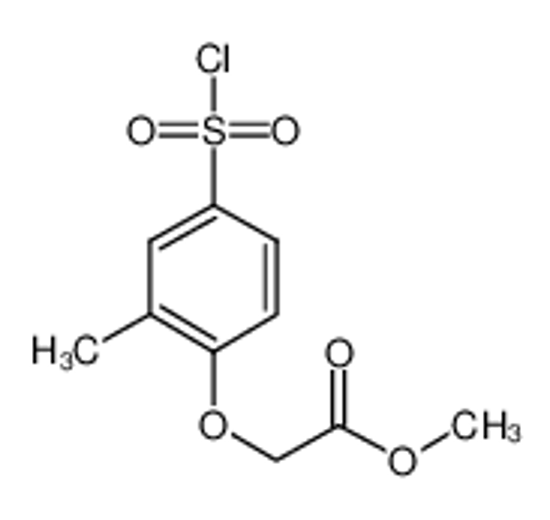 Imagem de 4-(METHOXYCARBONYLMETHYLENEOXY)-3-METHYL-BENZENESULFONYL CHLORIDE