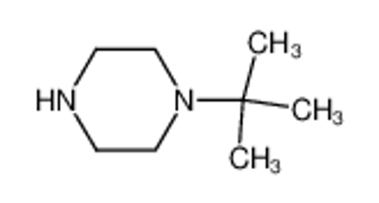 Изображение 1-(tert-Butyl)piperazine