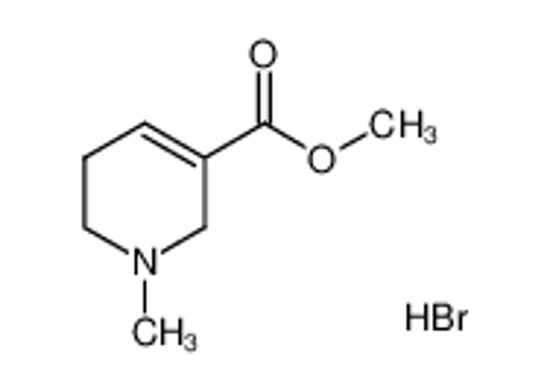 Picture of methyl 1-methyl-3,6-dihydro-2H-pyridine-5-carboxylate,hydrobromide