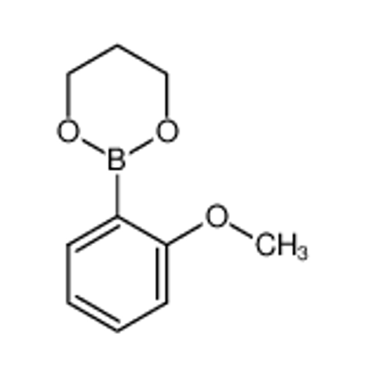 Picture of 2-Methoxyphenylboronic acid, propanediol cyclic ester