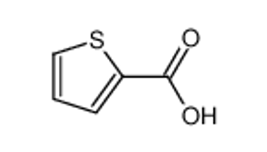 Изображение thiophene-2-carboxylic acid