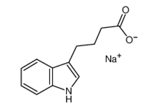Picture of 1H-Indole-3-butanoic acid monosodium salt