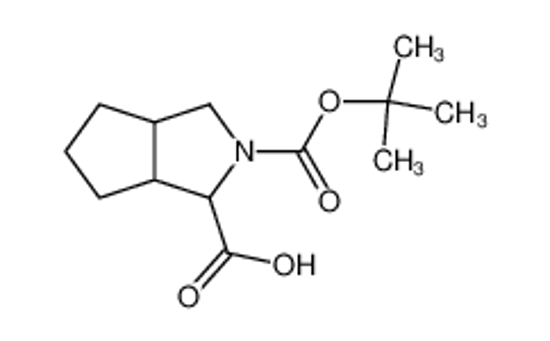 Picture of HEXAHYDRO-CYCLOPENTA[C]PYRROLE-1,2-DICARBOXYLIC ACID 2-TERT-BUTYL ESTER