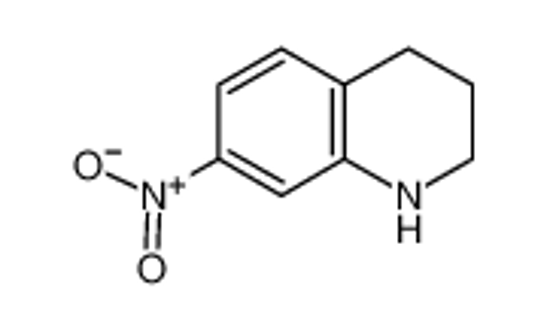Picture of 7-Nitro-1,2,3,4-tetrahydroquinoline