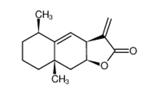 Imagem de alantolactone