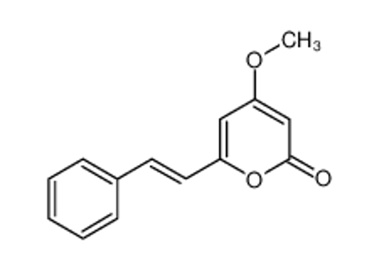 Picture of Desmethoxy Yangonin