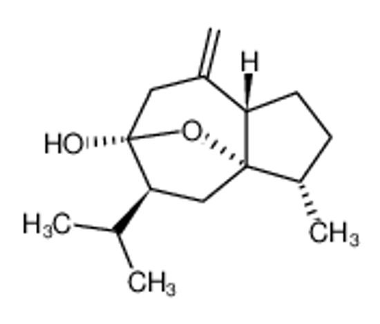 Picture of Curcumol