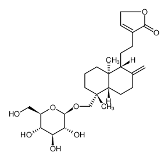 Picture of Neoandrographolide