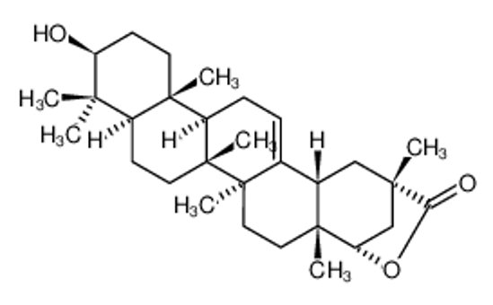 Picture of WILFORLIDE A