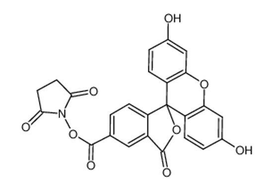 Picture of 5-Carboxyfluorescein-N-hydroxysuccinimide Ester