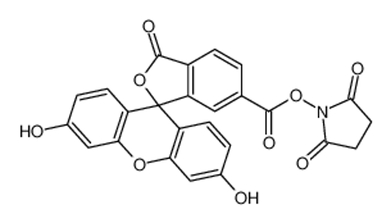 Picture of 6-Carboxyfluorescein N-hydroxysuccinimide ester