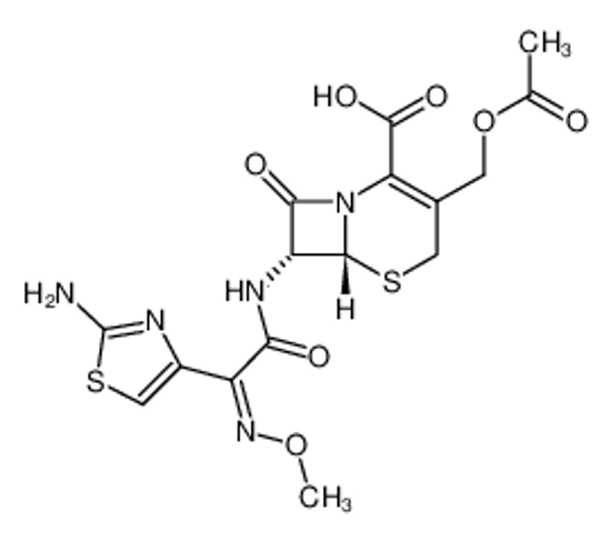 Picture of cefotaxime