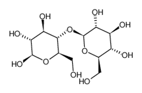 Picture of cellobiose