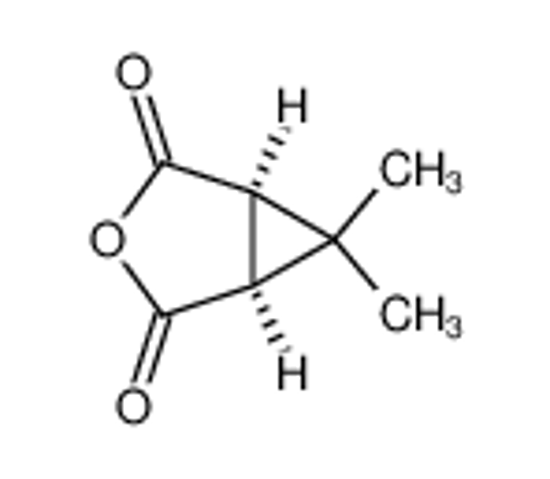 Picture of Caronic anhydride