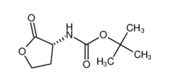 Picture of (S)-(-)-Alpha-(Boc-Amino)-Gamma-Butyrolactone