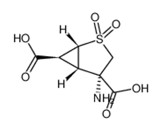 Picture of (1R,4S,5S,6S)-4-amino-2,2-dioxo-2λ6-thia-bicyclo[3.1.0]hexane-4,6-dicarboxylic acid
