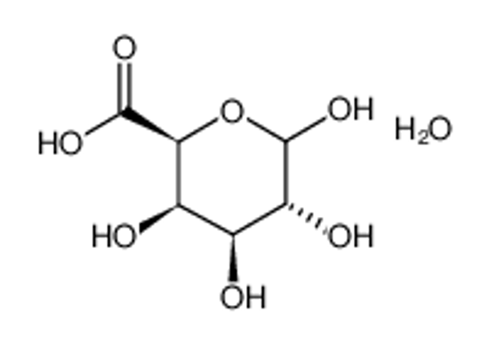 Picture of Alpha-D-Galacturonic Acid Hydrate