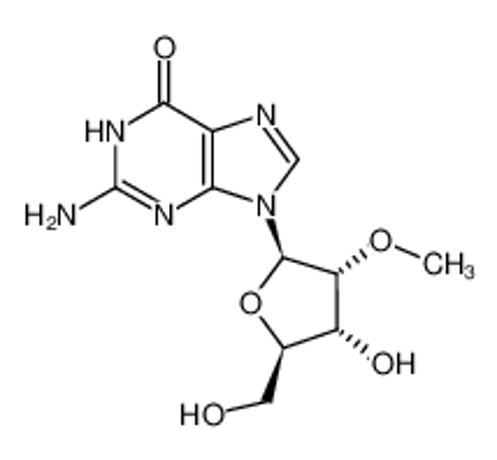 Picture of 2'-O-methylguanosine