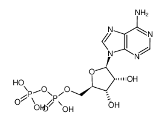 Picture of Adenosine-5-Diphosphate
