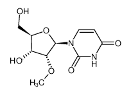Picture of 2'-O-methyluridine