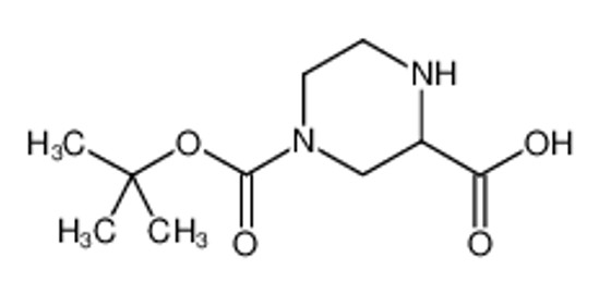Picture of N-4-Boc-2-Piperazinecarboxylic Acid