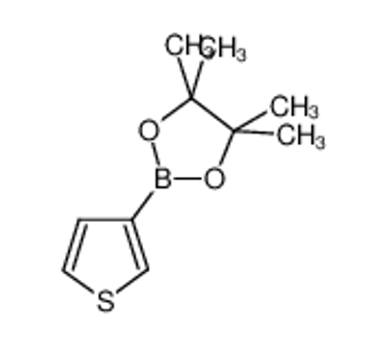 Picture of 4,4,5,5-tetramethyl-2-thiophen-3-yl-1,3,2-dioxaborolane