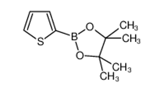 Picture of 4,4,5,5-tetramethyl-2-thiophen-2-yl-1,3,2-dioxaborolane