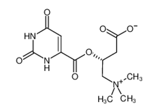 Picture of 3-(2,4-dioxo-1H-pyrimidine-6-carbonyl)oxy-4-(trimethylazaniumyl)butanoate