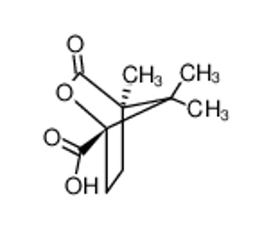 Picture of (1S)-(-)-Camphanic acid