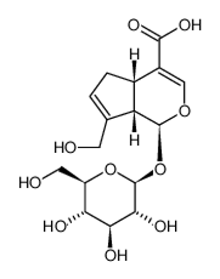 Изображение (1S,4aS,7aS)-7-(hydroxymethyl)-1-[(2S,3R,4S,5S,6R)-3,4,5-trihydroxy-6-(hydroxymethyl)oxan-2-yl]oxy-1,4a,5,7a-tetrahydrocyclopenta[c]pyran-4-carboxylic acid
