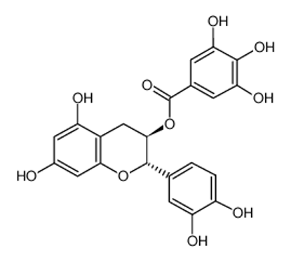 Picture of (-)-Catechin Gallate