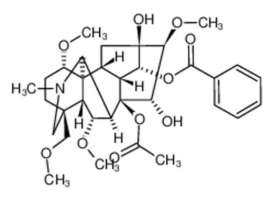 Picture of Hypaconitine