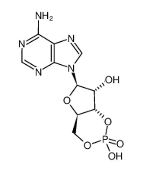 Picture of 3',5'-cyclic AMP