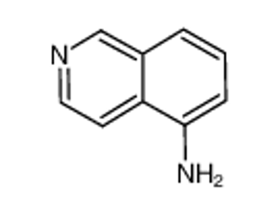Picture of 5-Aminoisoquinoline